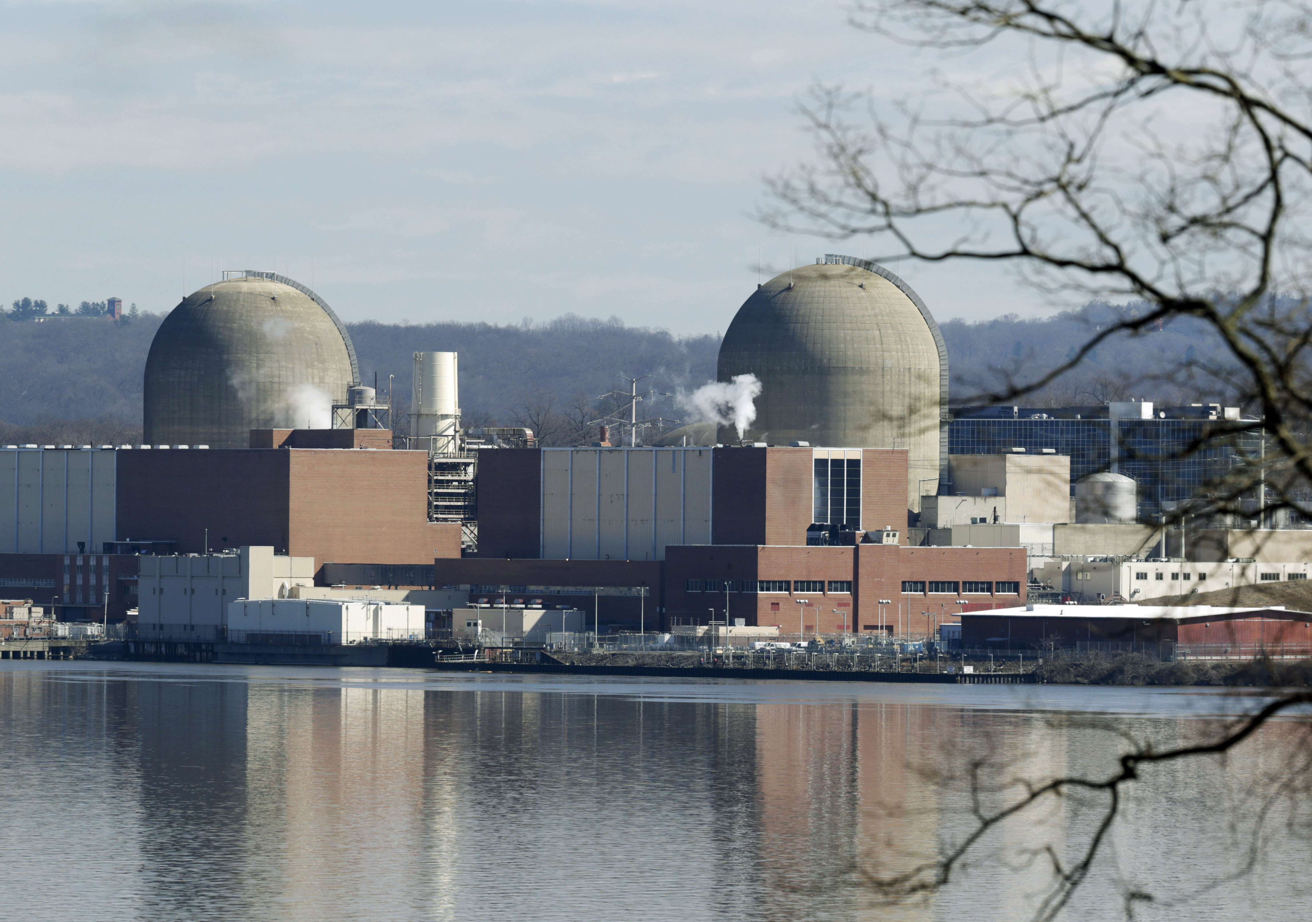 What Are The Two Most Common Types Of Reactors Used In Nuclear Power Plants