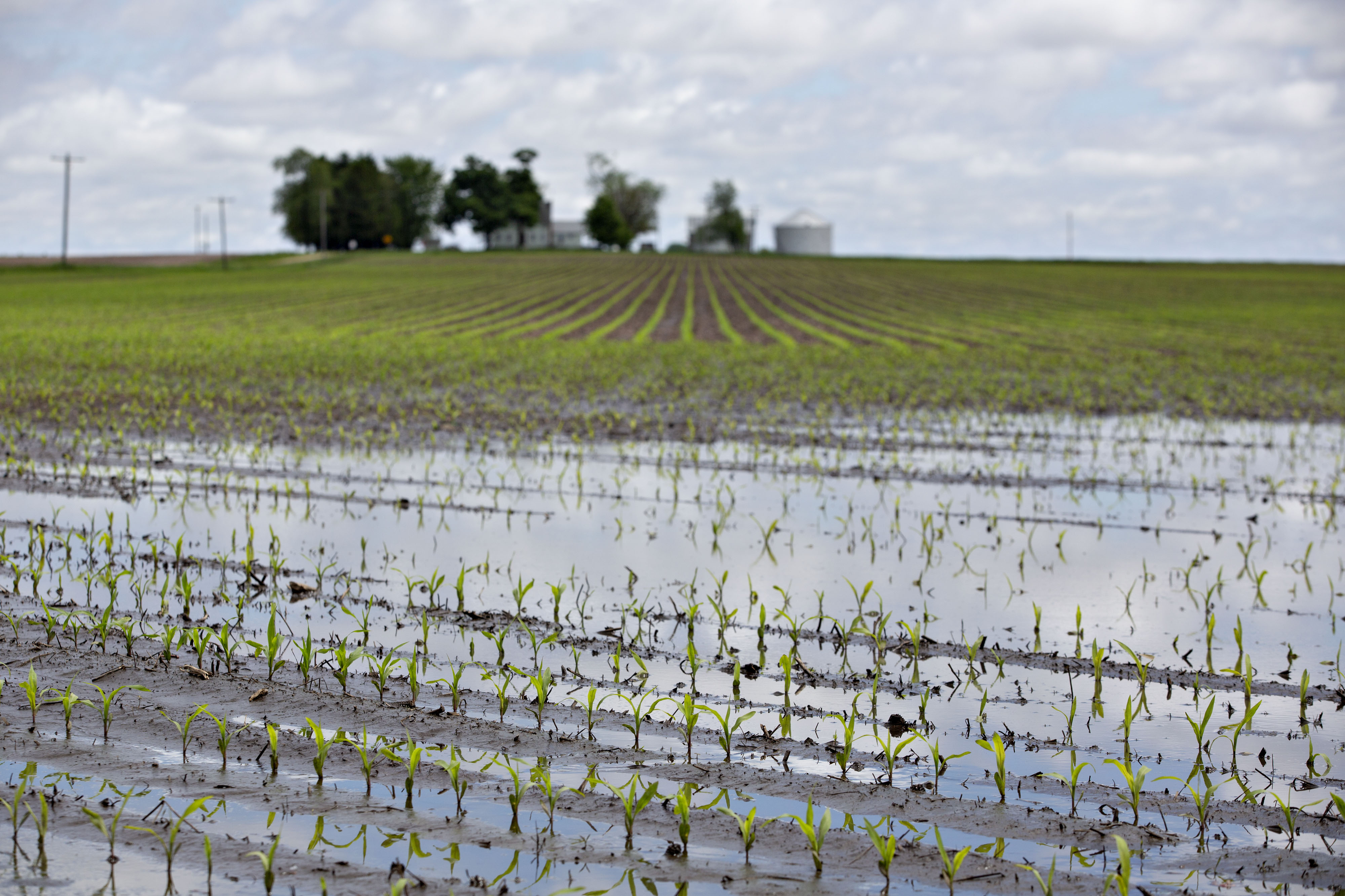 U.S. Farmers and Shippers Face Huge Losses From Flooding Again