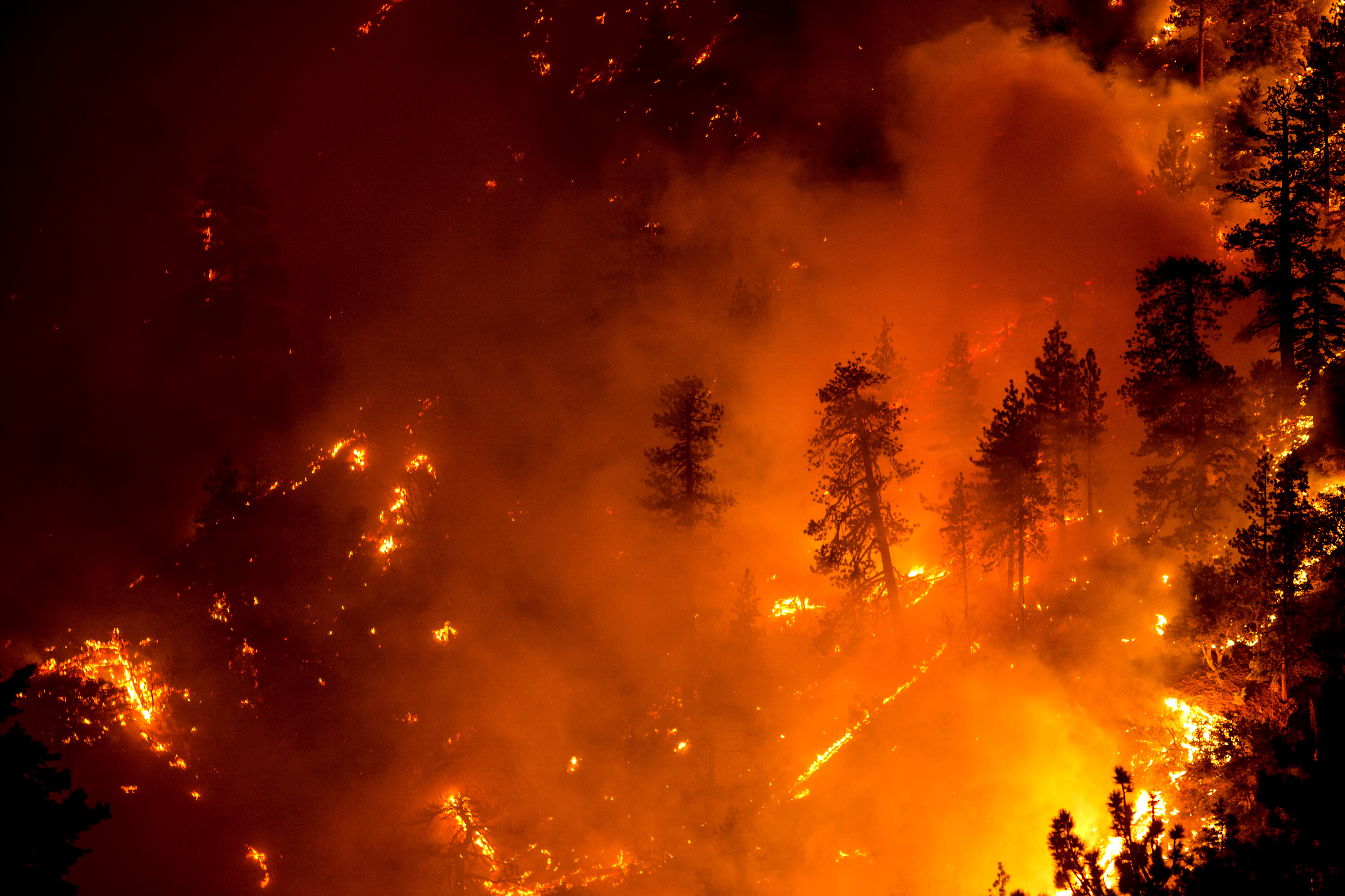 Firefighter killed in El Dorado blaze was a 14-year veteran - Los Angeles  Times