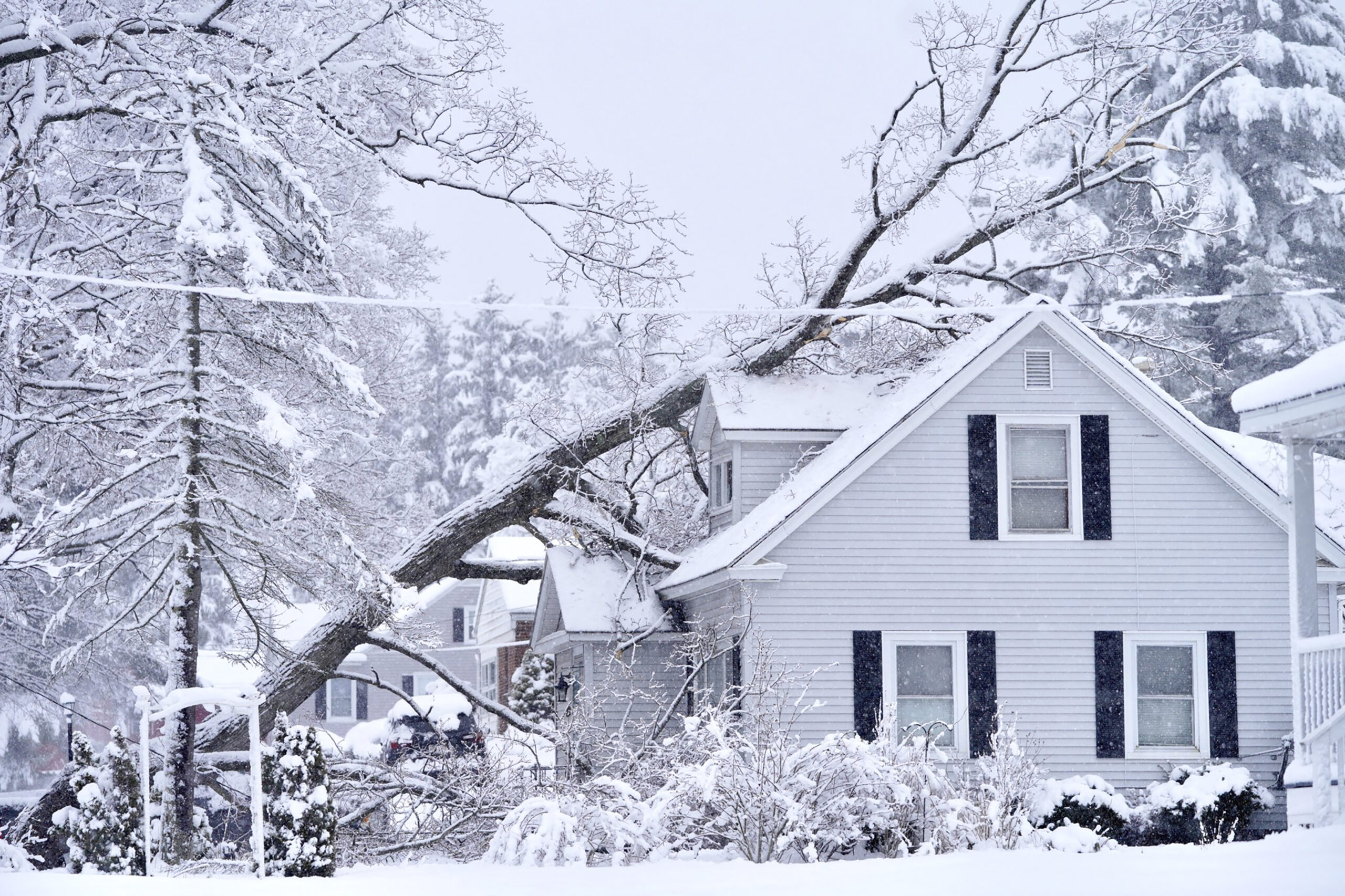 Northeast Winter Storm Shuts Schools, Knocks Out Power