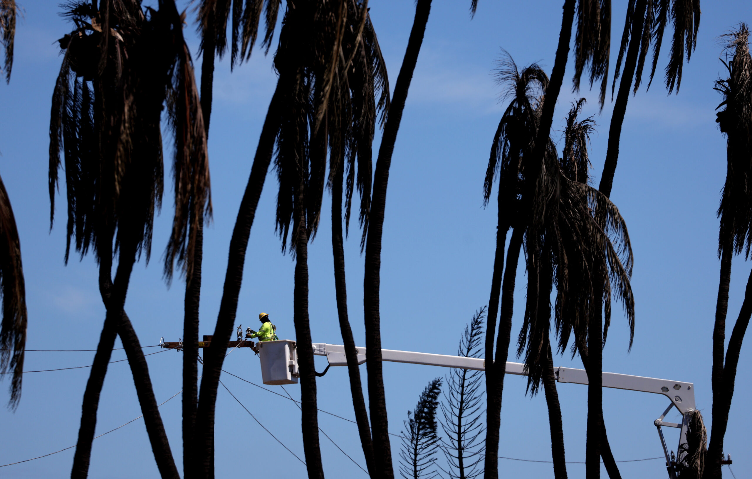 Maui Fire Caused by Broken Power Lines, County and US Find